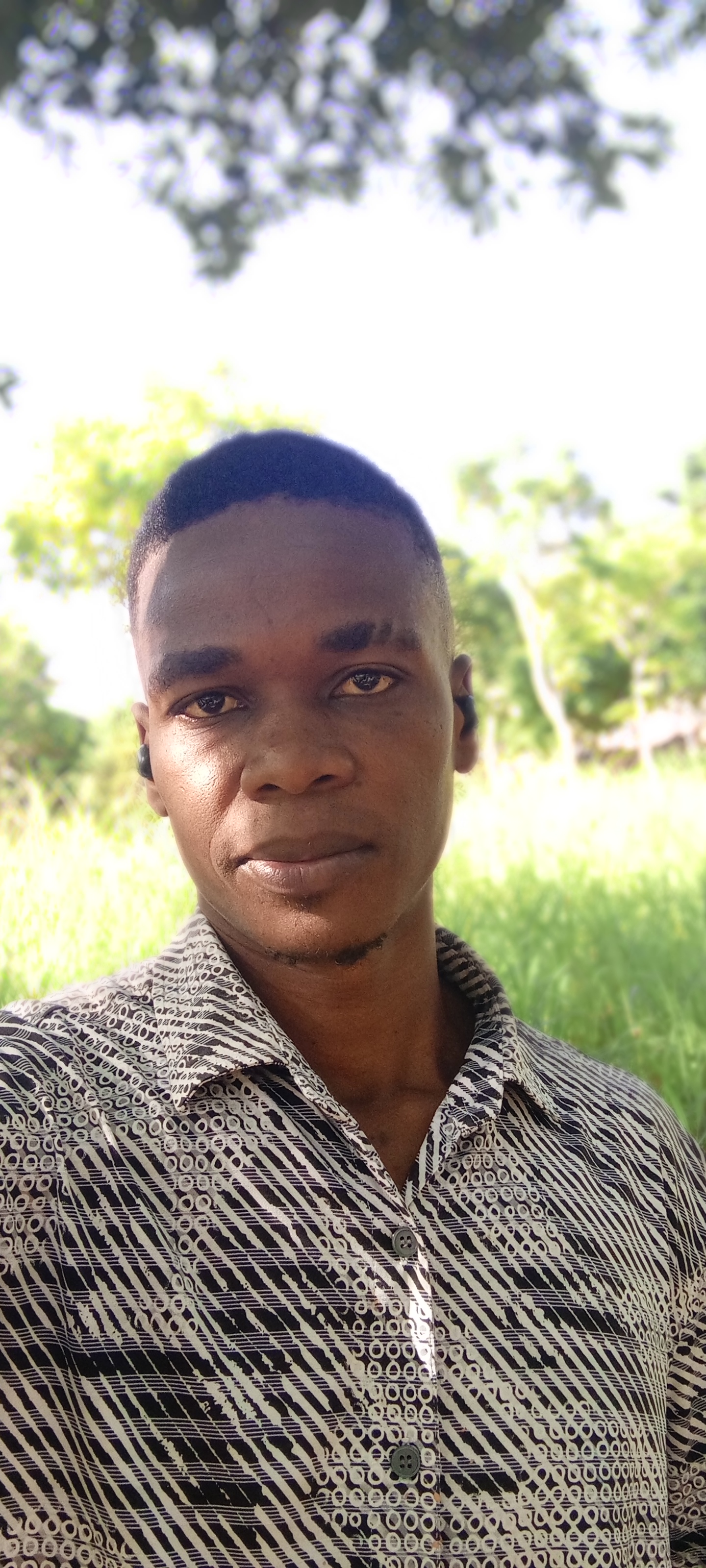 Wilson vashie katsache